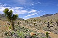 Death Valley National Park