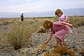 Death Valley National Park