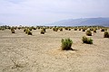 Death Valley National Park