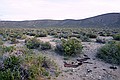 Death Valley National Park