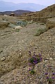 Death Valley National Park