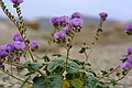 Death Valley National Park