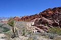 Red Rock Canyon, Las Vegas