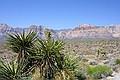 Red Rock Canyon, Las Vegas