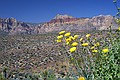 Red Rock Canyon, Las Vegas