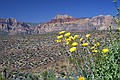 Red Rock Canyon, Las Vegas