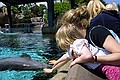 Seaworld i San Diego