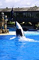 Seaworld i San Diego