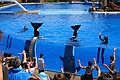 Seaworld i San Diego