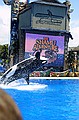 Seaworld i San Diego