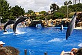 Seaworld i San Diego