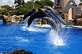 Seaworld i San Diego