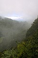 Pfeiffer Big Sur State Park