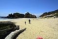 Pfeiffer Beach