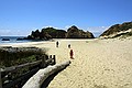 Pfeiffer Beach