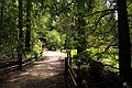 Big Basin State Park