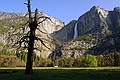 Yosemity National Park