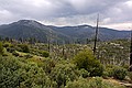 Yosemity National Park