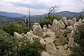 Yosemity National Park