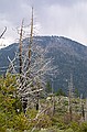 Yosemity National Park