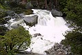 Yosemity National Park